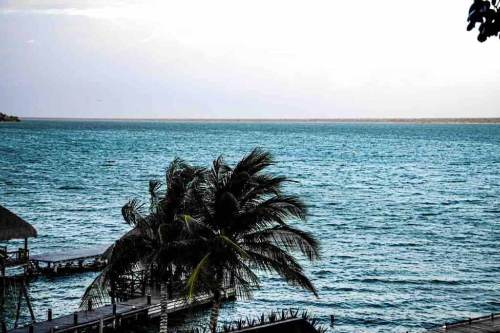 Villa Alegre Casa De Lujo Frente A Laguna Bacalar